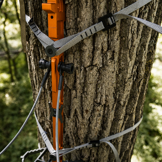 Two CS NANO™ Straps On Tree On Stand In The Woods