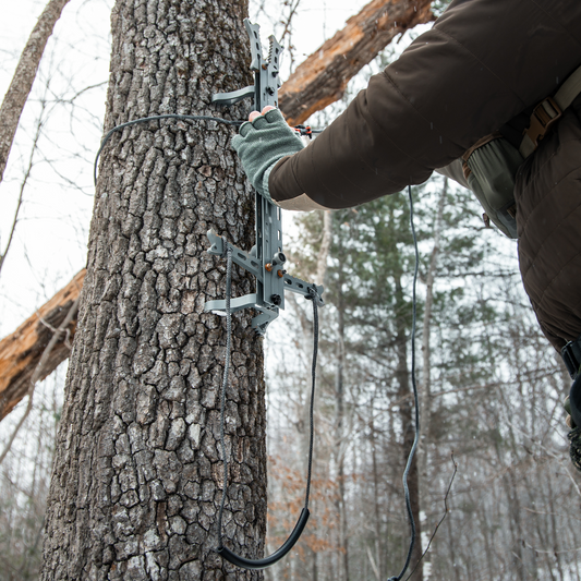 1/8 Single Step Amsteel Aider In Use On Tree