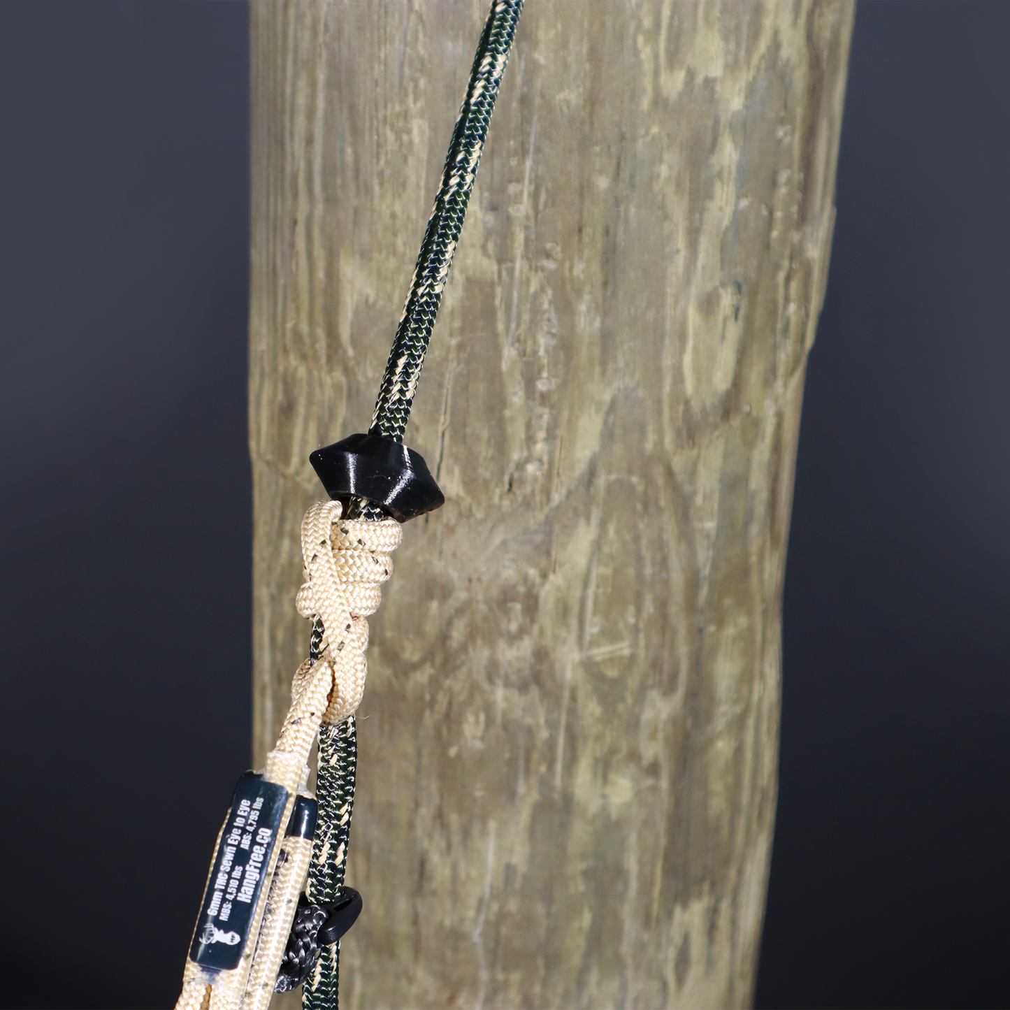 8mm Prusik Breaker On Predator Tree Tether above Prusik