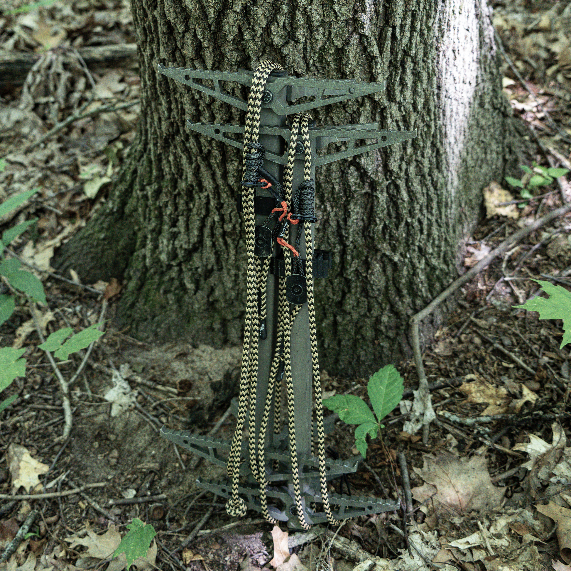 6mm Endura Hang Free® Attachment System Rope (H.F.A.S.R) In Use On Sticks against tree