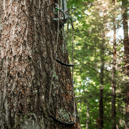 6mm RAIDER On Stick On Tree In Use