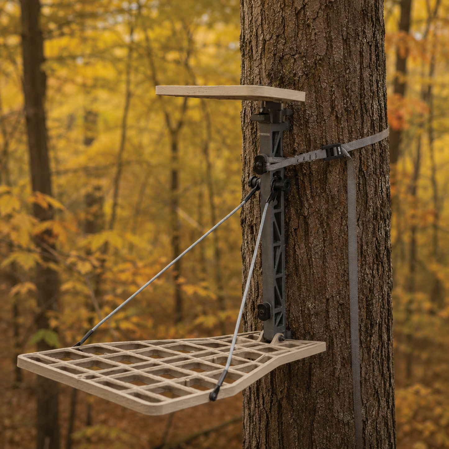 CS NANO™ On Stand In The Tree In The Woods