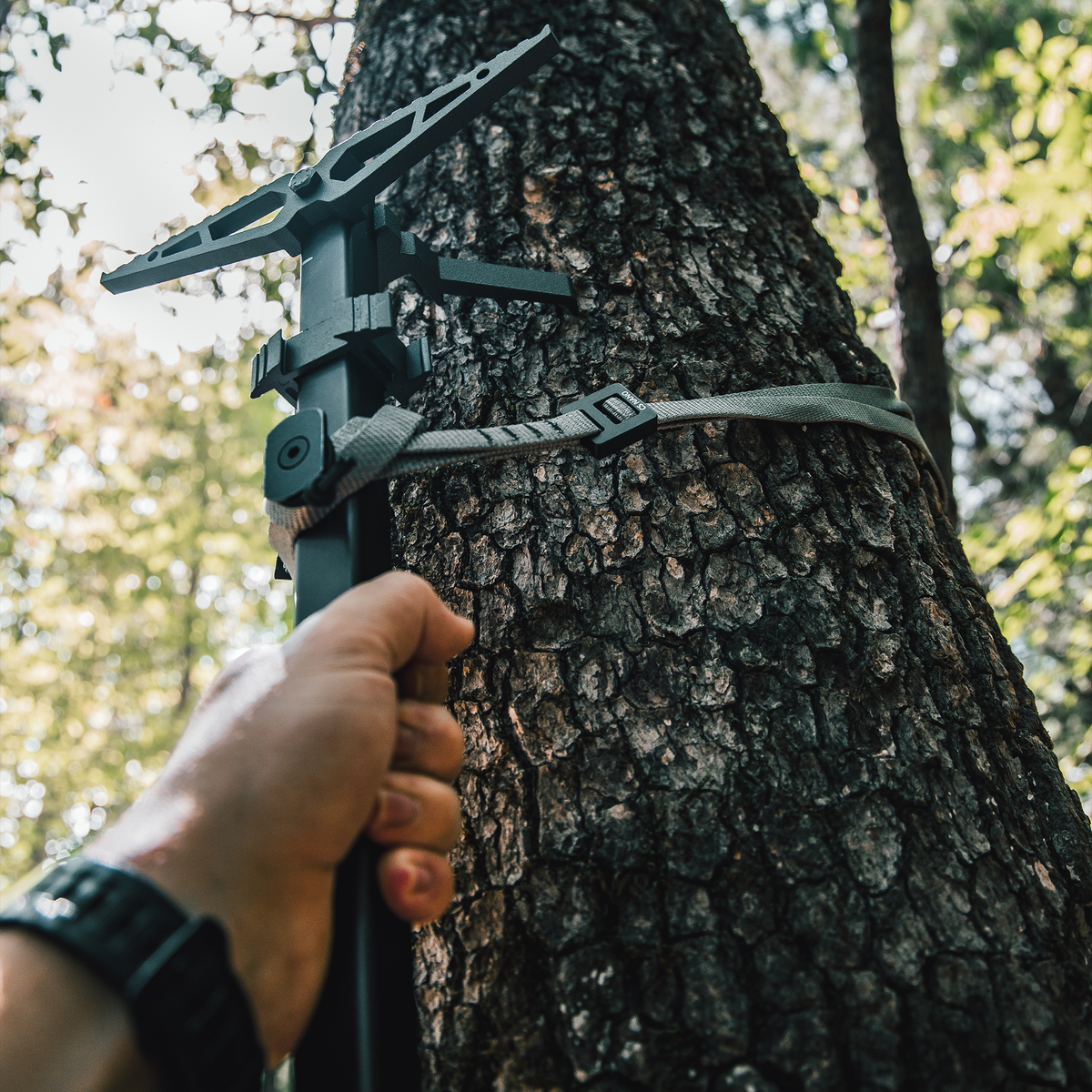 CS NANO In Use Pic on stick on tree.