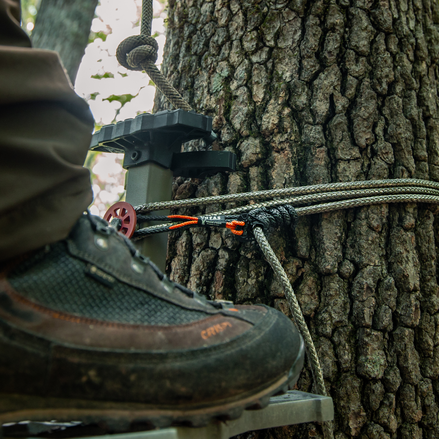 Covert 3/16 Full Bury Hang Free® Attachment System Truckers In Use On Tree.