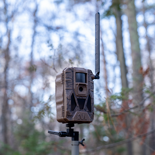 Muddy Matrix 2.0 Cellular Trail Camera In Use