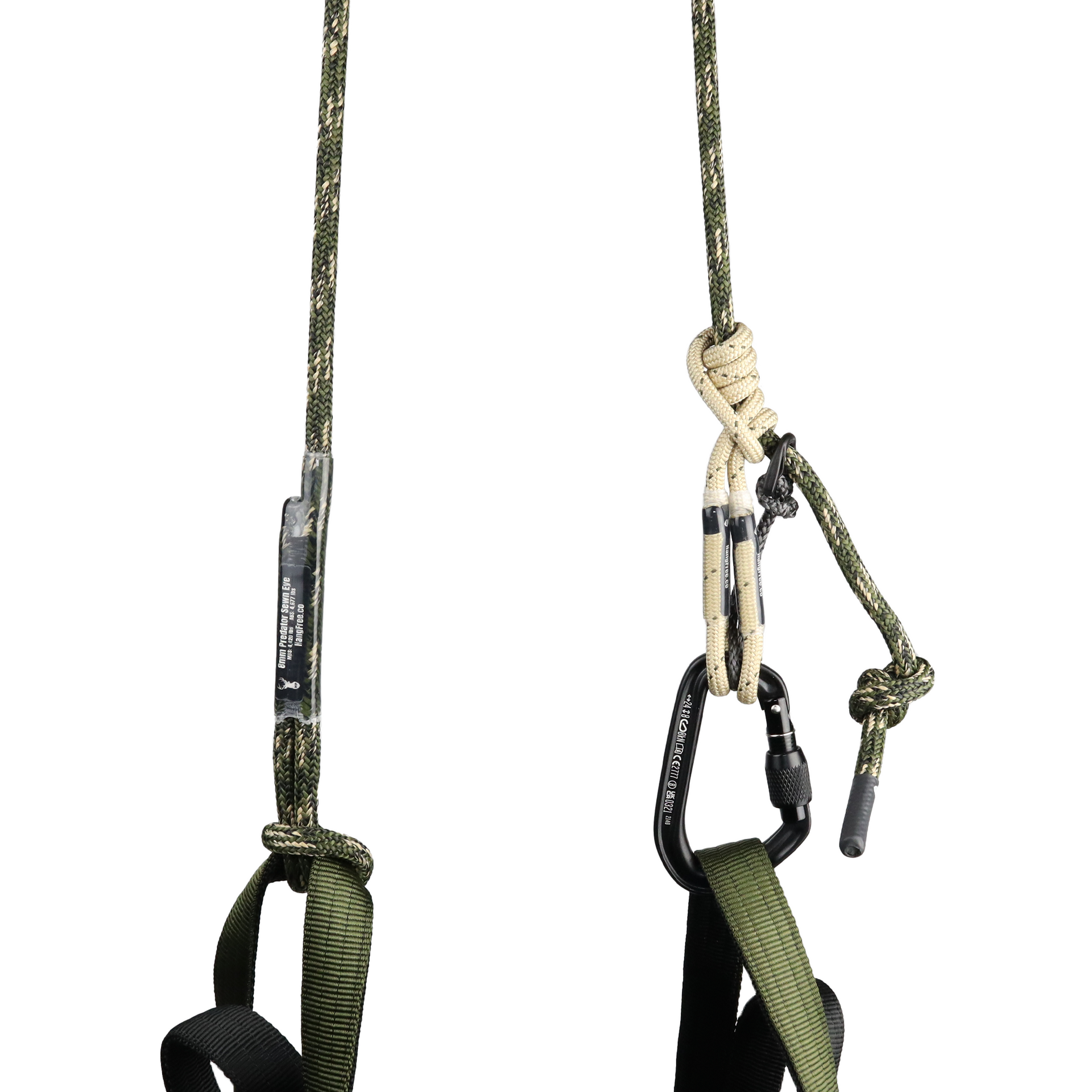 リール RIDGEUP Amazon.com : DNP 8 Speed Screw-on Freewheel 11-34T Nickel Plate