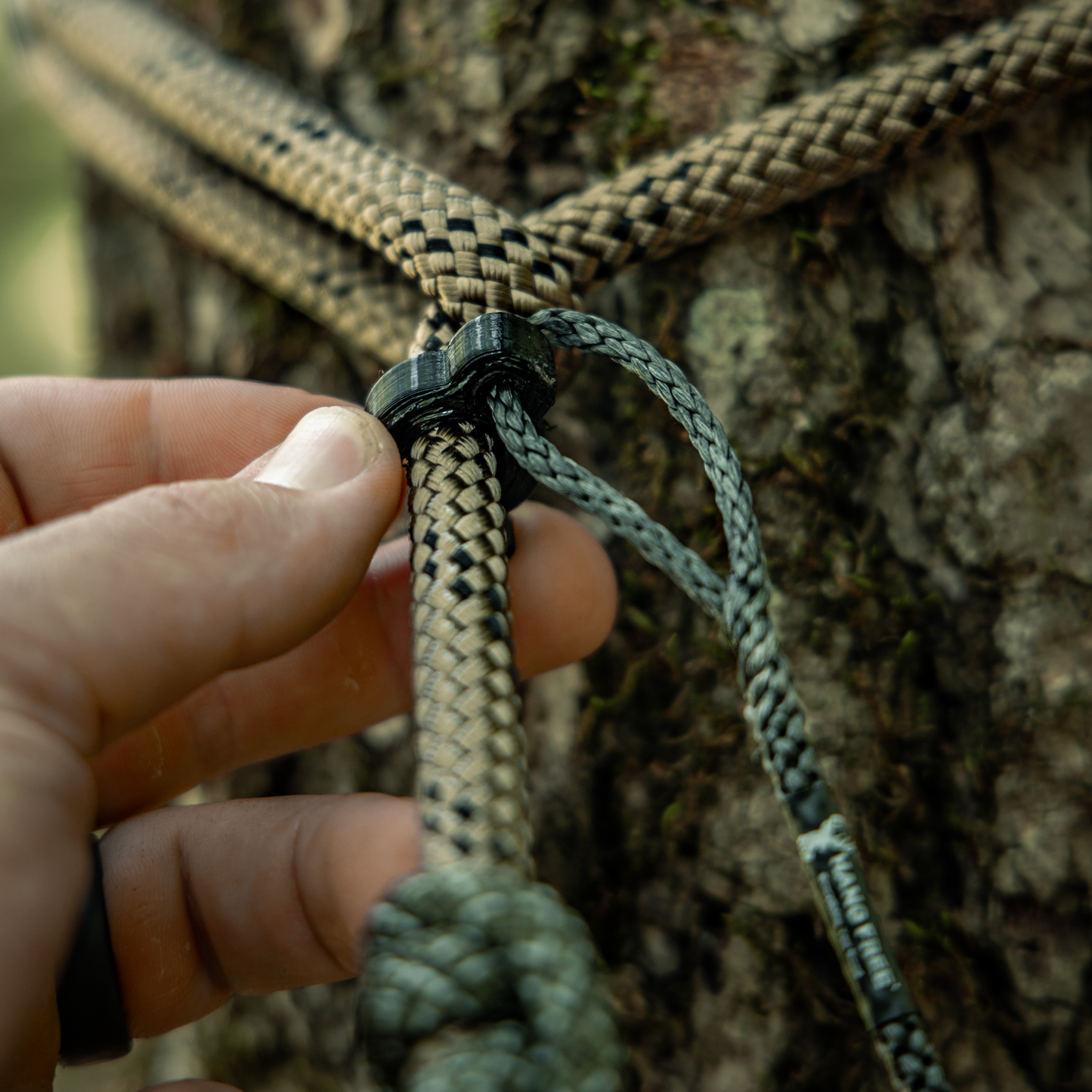 Tether Locker In Use On Tree Tether