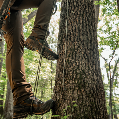 6mm Triple Step RAIDER in Use On Tree